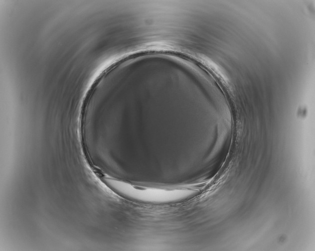 X0000093741334200711131052