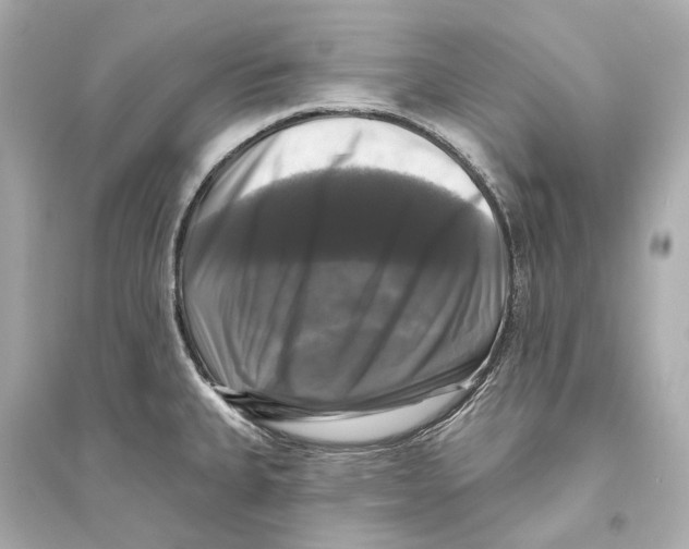 X0000093741335200711131052