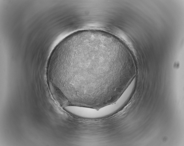 X0000093741336200711131052