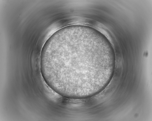 X0000093741338200711131052
