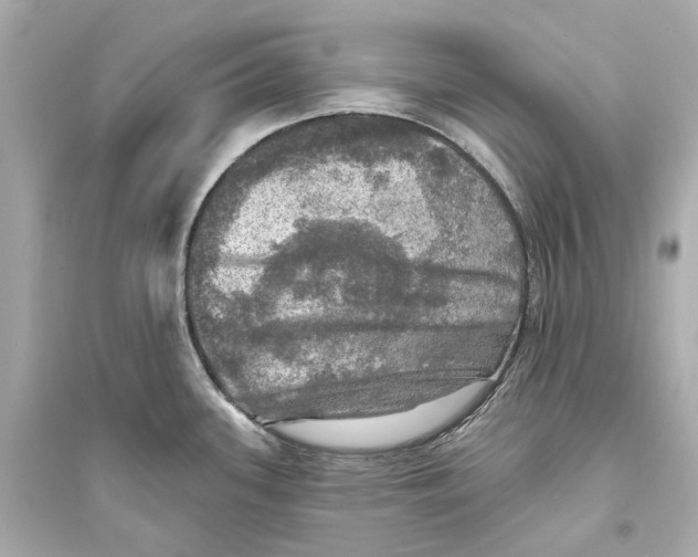 X0000093741339200711131052