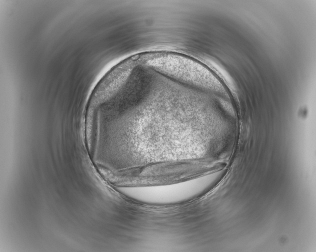 X0000093741340200711131053
