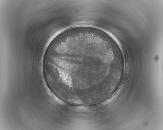 X0000093741341200711131053