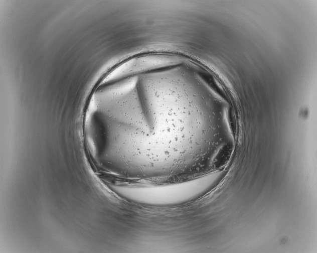 X0000093741342200711131053