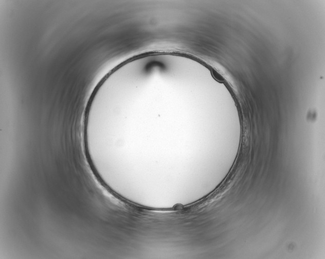 X0000093741343200711131053