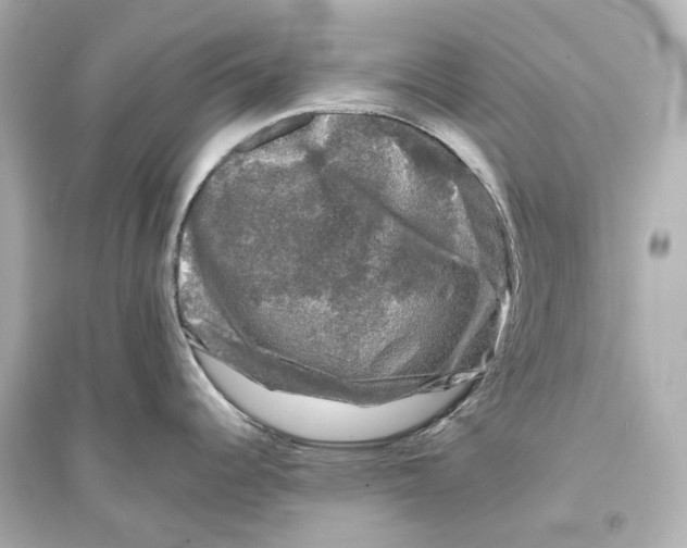 X0000093741344200711131053