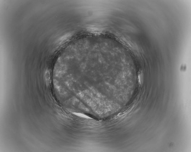 X0000093741347200711131052