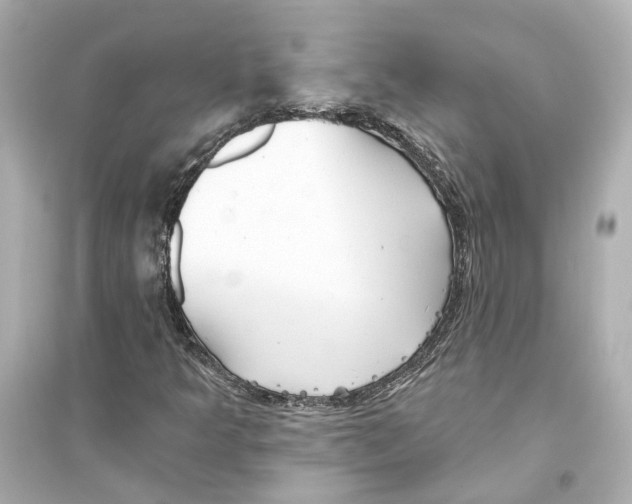 X0000093741349200711131052