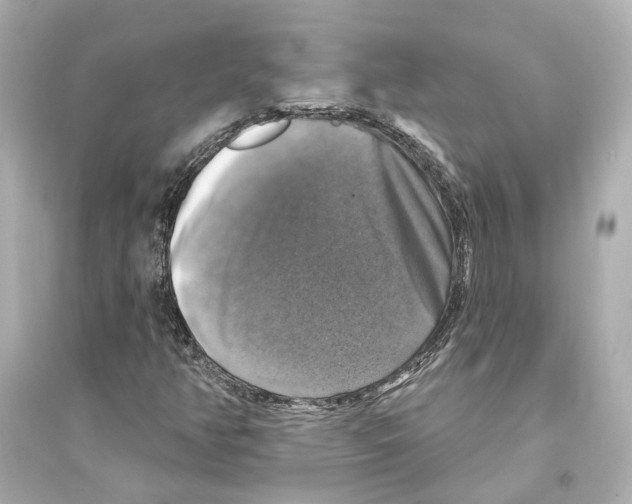 X0000093741350200711131052