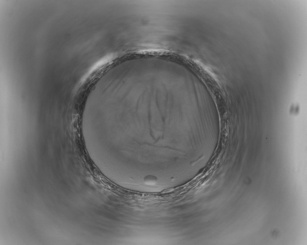 X0000093741351200711131052