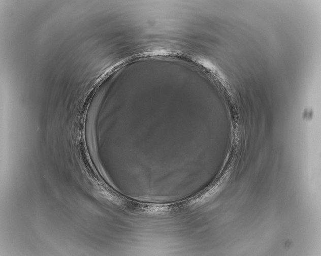 X0000093741353200711131052