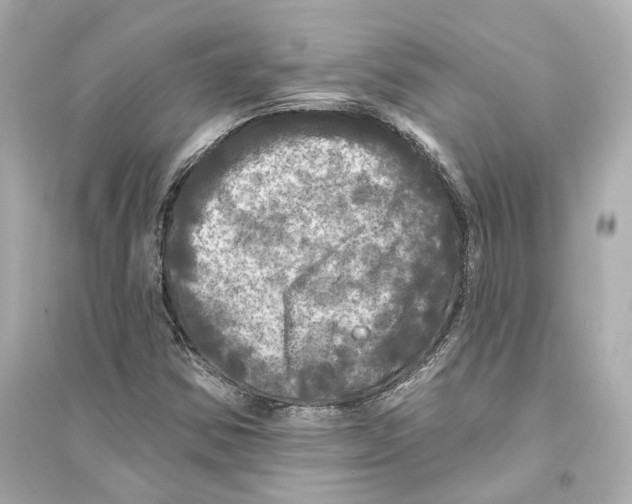 X0000093741354200711131051