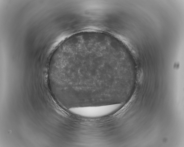 X0000093741355200711131051