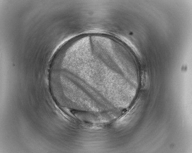 X0000093741356200711131051