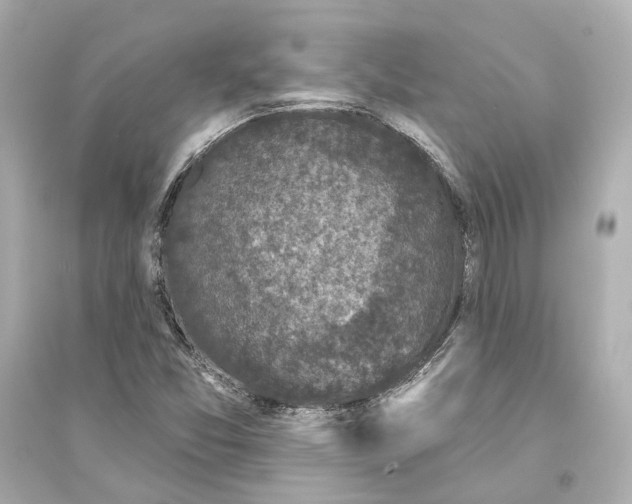 X0000093741357200711131051