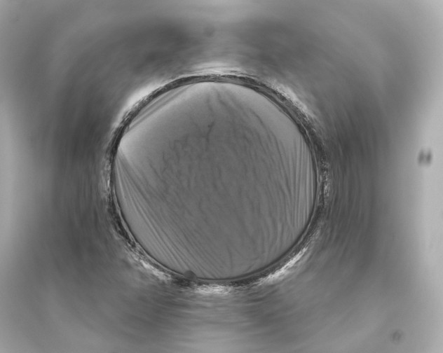 X0000093741358200711131051