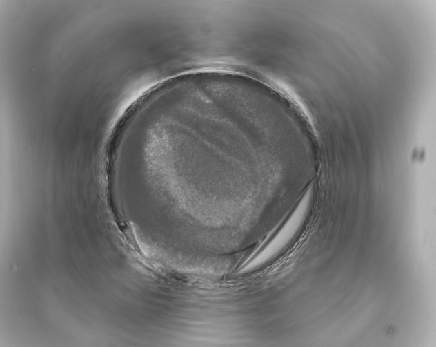 X0000093741360200711131051