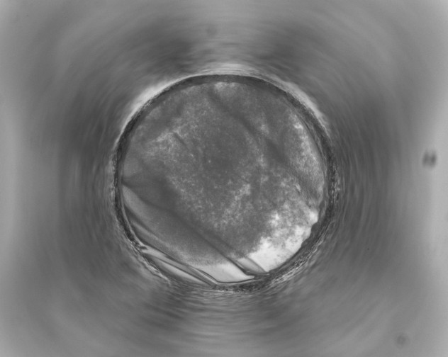 X0000093741364200711131051