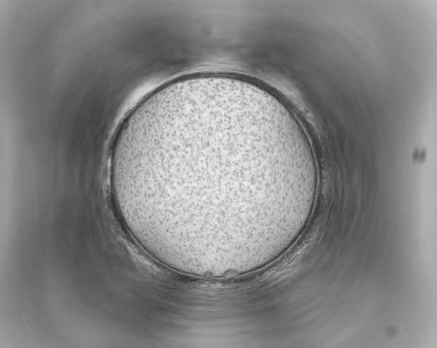 X0000093741366200711131051