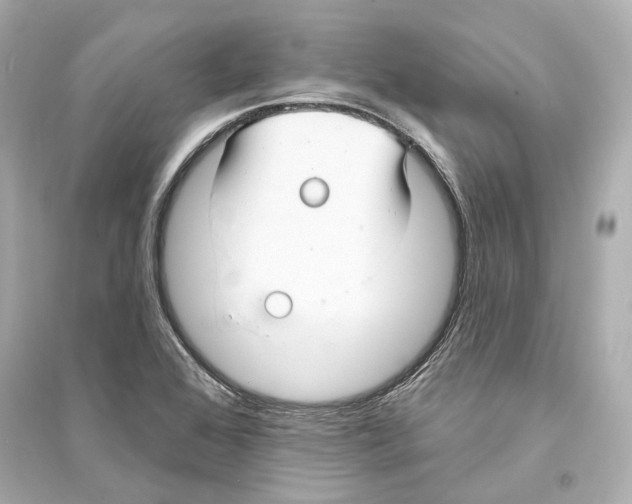 X0000093741368200711131051