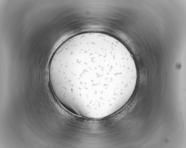 X0000093741370200711131051