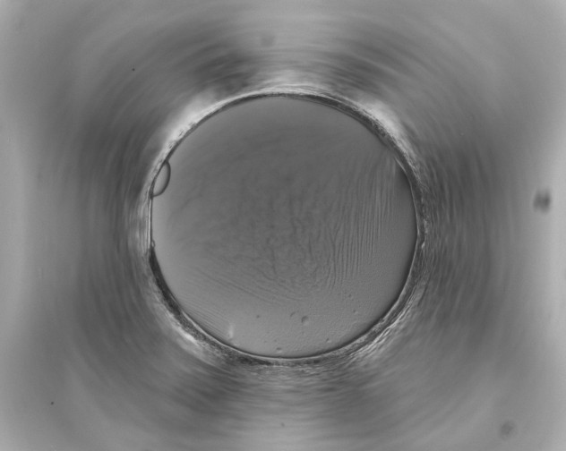 X0000093741371200711131051