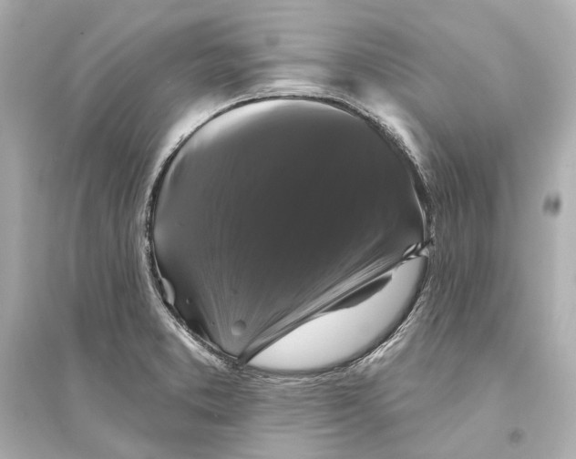 X0000093741373200711131051