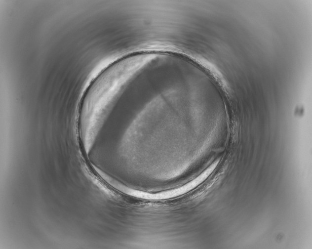 X0000093741374200711131051