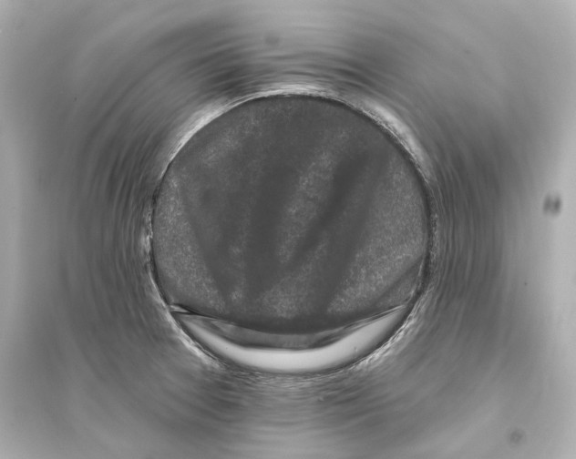 X0000093741377200711131051