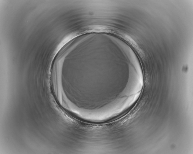 X0000093741378200711131051