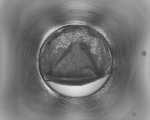 X0000093741379200711131051