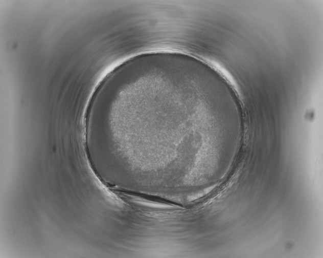X0000093741380200711131051