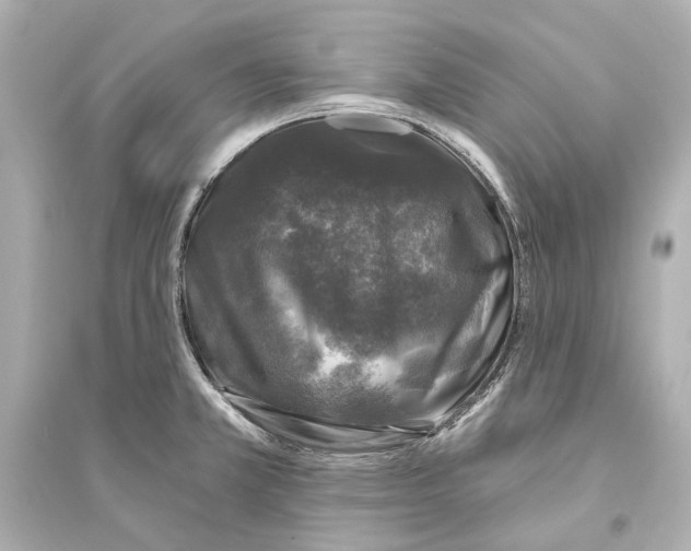 X0000093741381200711131051
