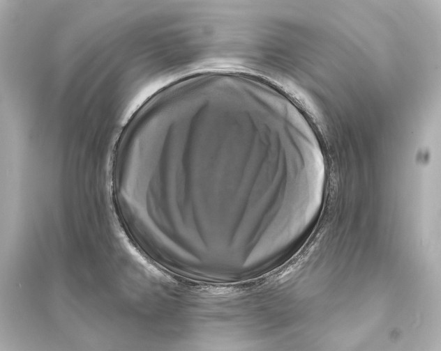 X0000093741382200711131051