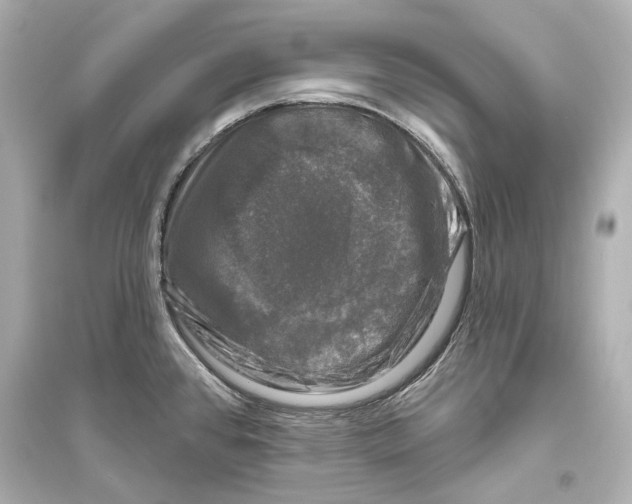 X0000093741384200711131051