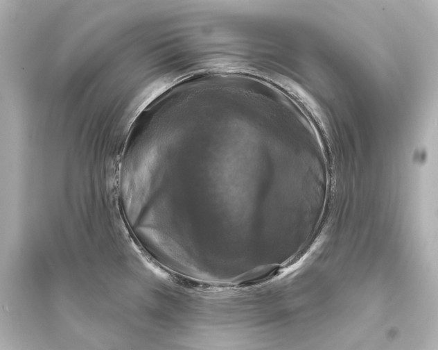 X0000093741385200711131051