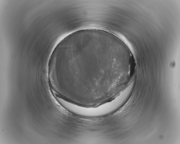 X0000093741388200711131051