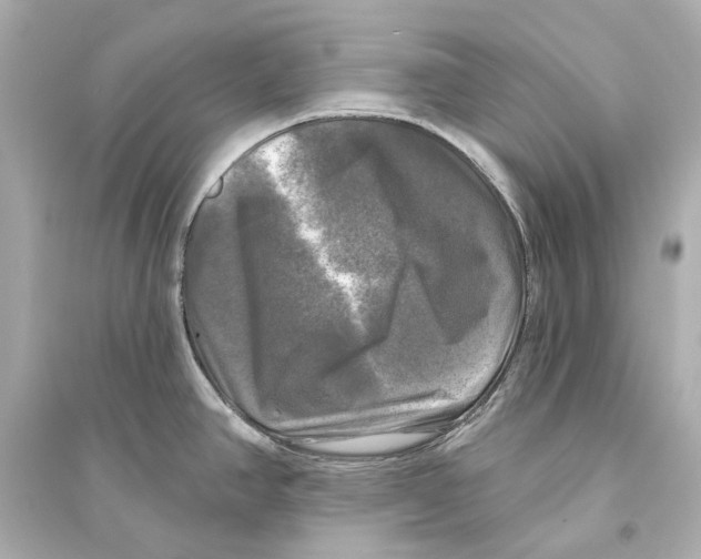 X0000093741390200711131051