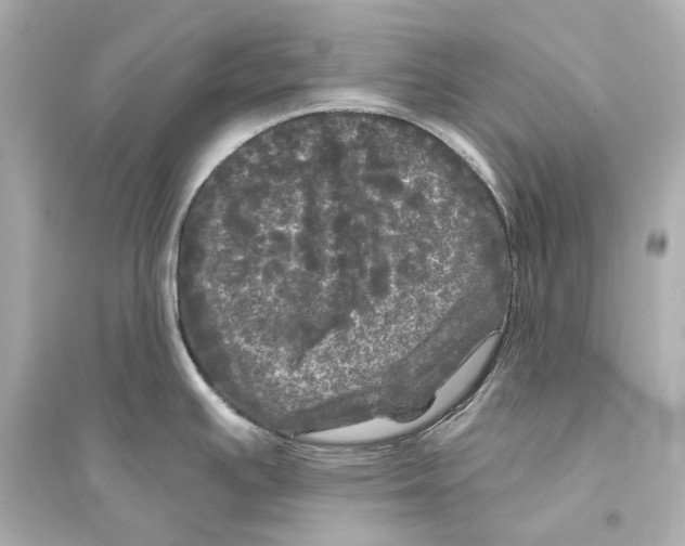 X0000093741391200711131051