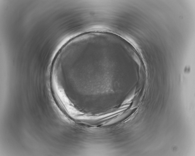 X0000093741392200711131051