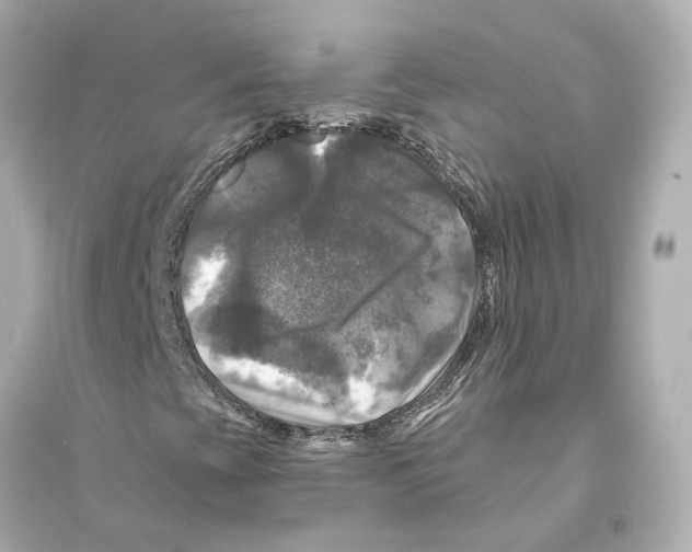 X0000093741393200711131050