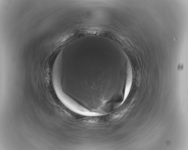X0000093741394200711131050