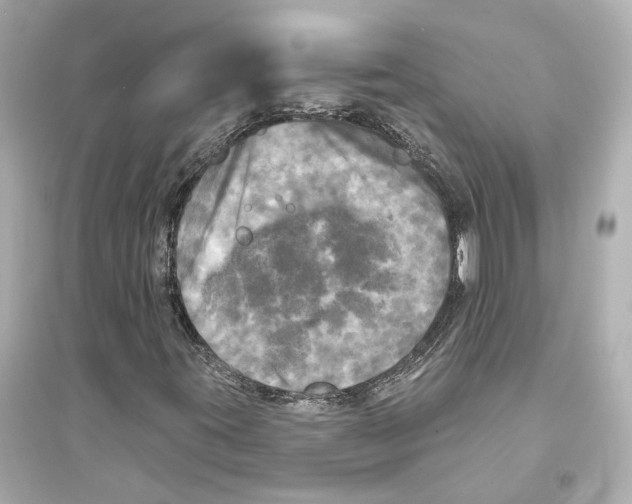 X0000093741395200711131050