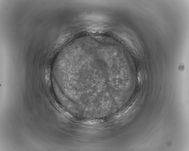 X0000093741396200711131050