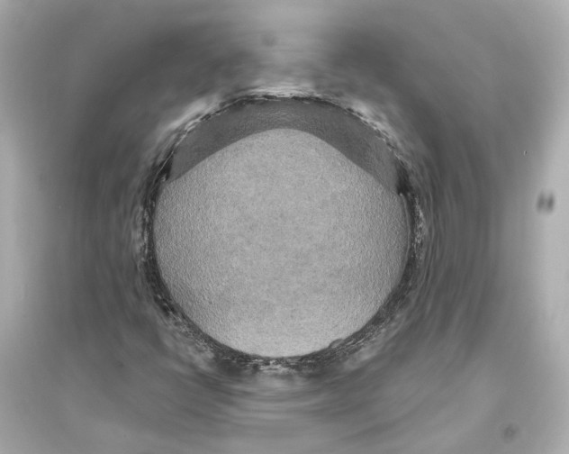 X0000093741398200711131050