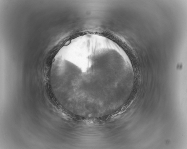 X0000093741399200711131050