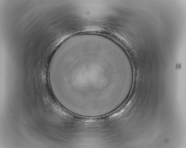 X0000093741401200711131050