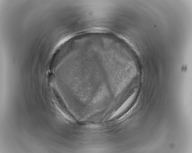 X0000093741402200711131050