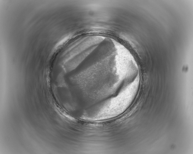 X0000093741403200711131050