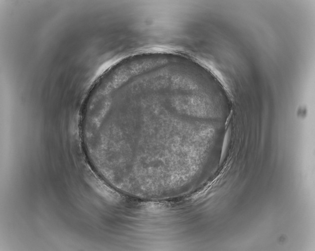 X0000093741404200711131050